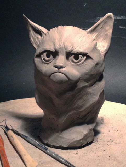 Grumpy Cat -  